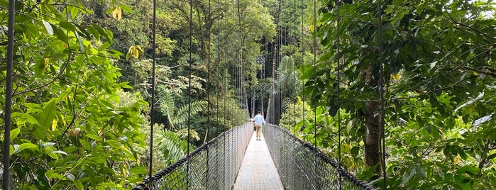 Mistico Park Arenal Hanging Bridges is one of Costa Rica favs.
