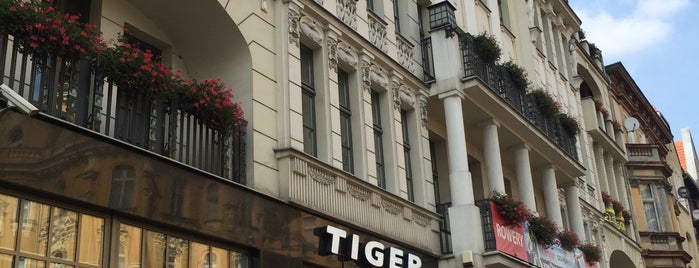 Tiger is one of Bydgoszcz.