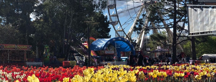 Floriade Canberra is one of CBR Touristy.