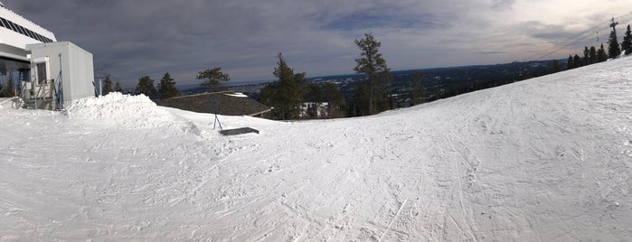 Terry Peak Ski Area is one of Locais curtidos por Chelsea.