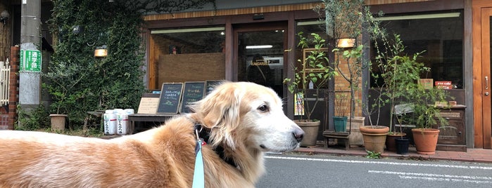 面倒でも 遠くても行きたいお店 面倒でも 遠くても行きたいお店
