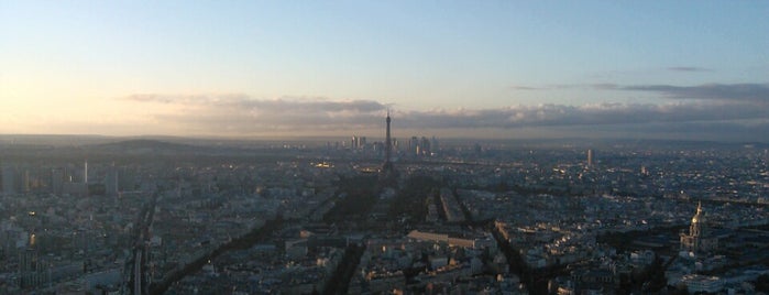 El observatorio panorámico de la Tour Montparnasse is one of This is Paris!.