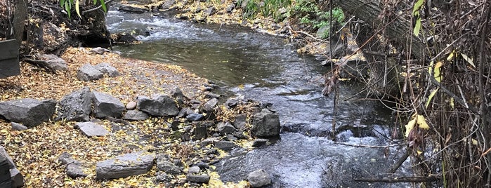 Bozeman Creek is one of Hikes/Walks.
