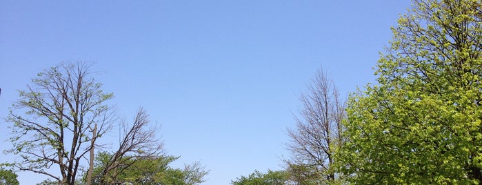 Musashino Chuo Park is one of 公園.