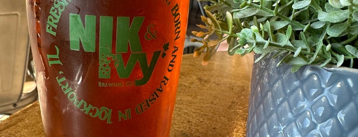 Nik & Ivy Brewery is one of Chicago area breweries.