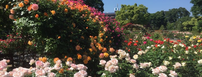 西山公園 is one of 愛知②三河.