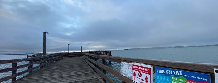 Port View Fishing Pier is one of Spots.