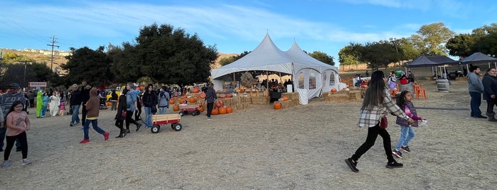 Rowell Ranch Rodeo Park is one of Dec 2 2018.