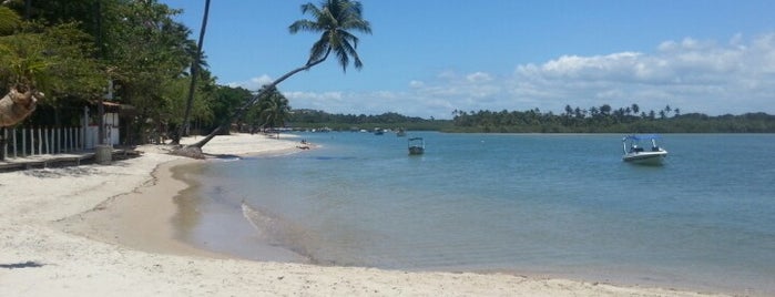 Ilha de Boipeba is one of Locais curtidos por Oliva.