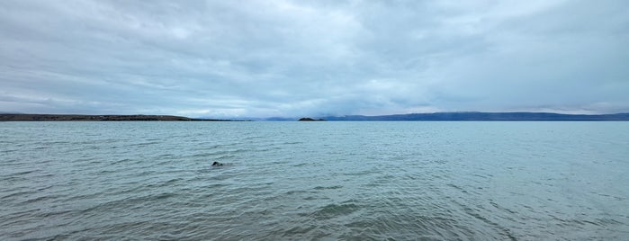 Lago Argentino is one of El Calafate.