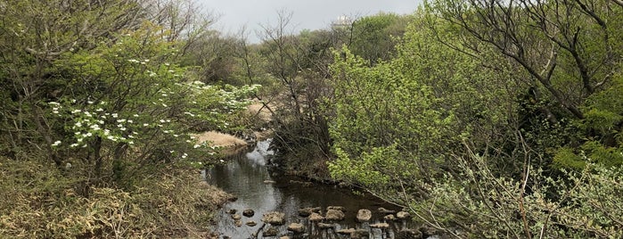 1100고지 습지 자연학습탐방로 is one of Yongsuk: сохраненные места.