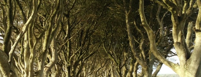 The Dark Hedges is one of to do together II..