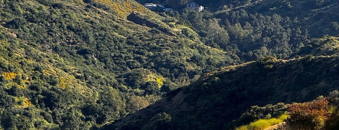 Mount Hollywood is one of spots and dots.