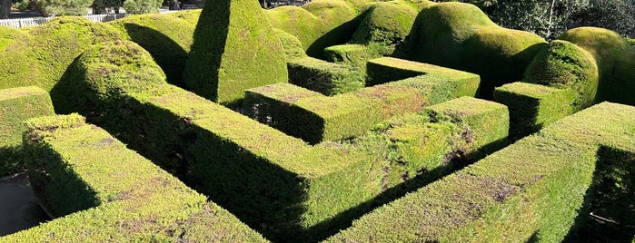 Ashcombe Maze & Lavender Gardens is one of Melbourne.