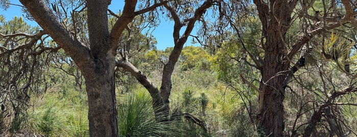 Star Swamp Bushland Reserve is one of Mayorships previously held.