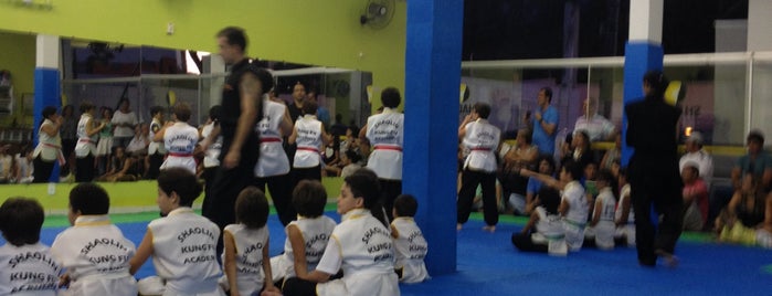 Shaolin Kung Fu Academia is one of tst.