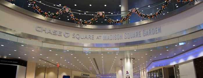 Madison Square Garden is one of American Christmas NYC Tour Sites.