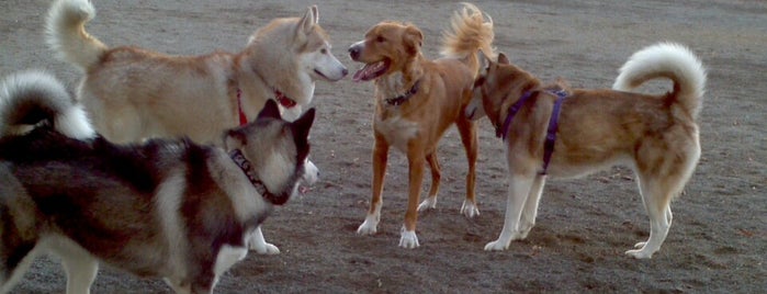 Wells Park (dog area) is one of George’s Liked Places.