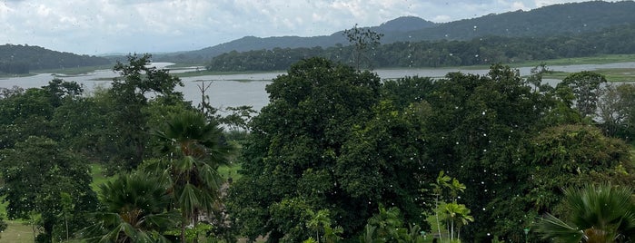 Gamboa Rainforest Resort is one of สถานที่ที่ Mariella ถูกใจ.
