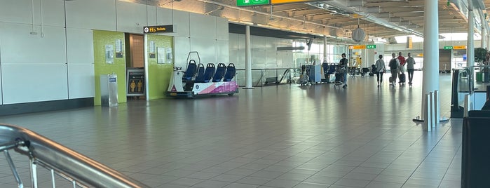 Gate D82 is one of Schiphol gates.