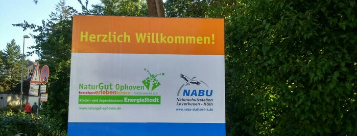 NaturGut Ophoven is one of Köln.