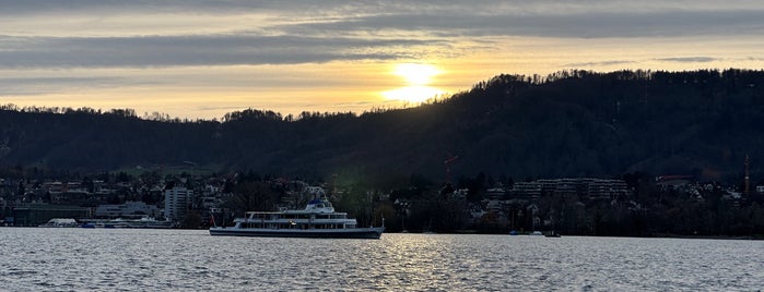 Seefeldquai is one of Grüezi, Zürich!.