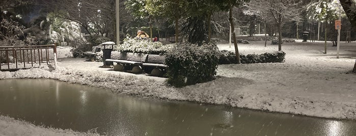 Demokrasi Parkı is one of istanbul gidilecekler anadolu 2.