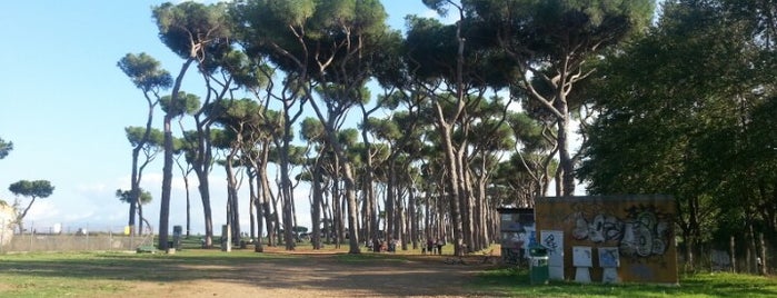 Parco Regionale Del Pineto is one of To-Do a Roma.