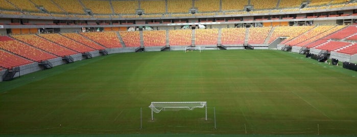 Arena da Amazônia is one of 2014 FIFA World Cup venues.
