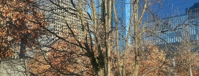 9/11 Survivor Tree is one of Trip to New York City.