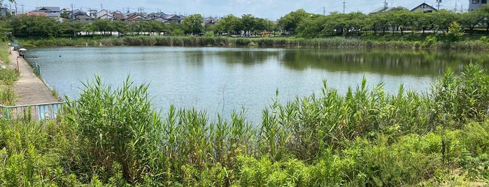 ほら貝池 is one of 神社・仏閣・公園.