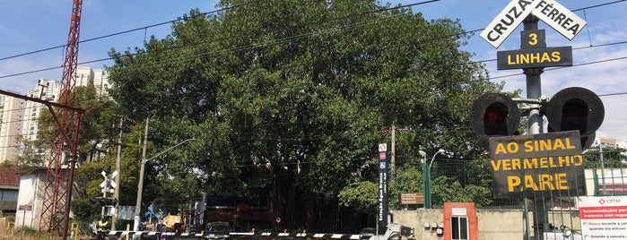 Estação Água Branca (CPTM) is one of CPTM - METRÔ.