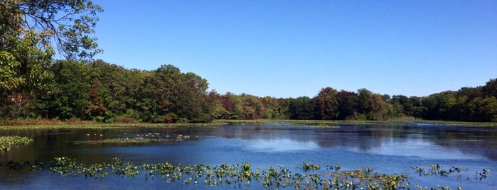 Mill Pond Park is one of สถานที่ที่ Anthony ถูกใจ.