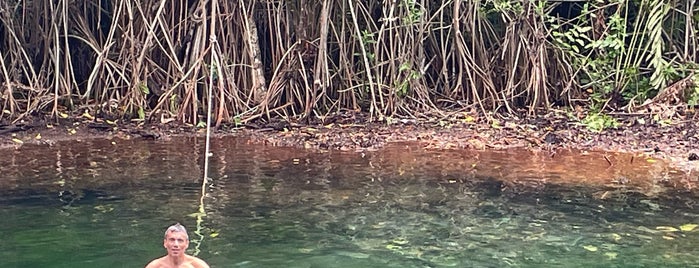 Cenote Xunan Há is one of Tulum.