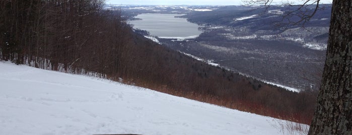 Harriet Hollister Spencer SRA is one of New York State Parks.