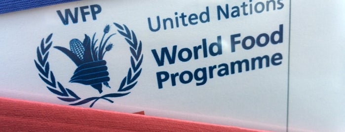 World Food Programme (WFP) is one of Funds and Programmes of the UN.