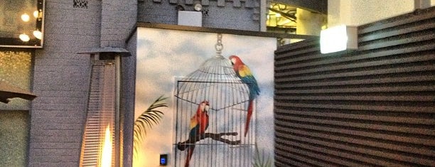 The Birdcage is one of Rundle Street Adelaide.