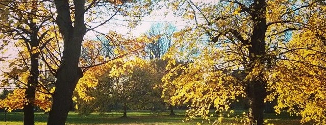 Гайд-парк is one of London, UK.