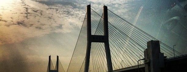 Nanpu Bridge is one of Shanghai (上海).