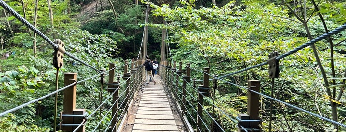 Miyama Bridge is one of 東日本の山-秩父山地.