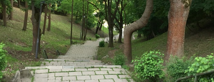 Kauko laiptai is one of Locais curtidos por Rasa.