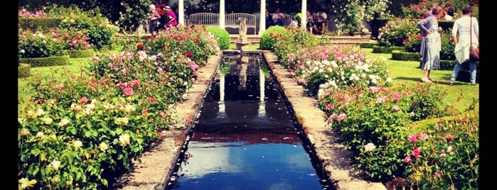 David Austin Roses - UK Gardens & Plant Centre is one of สถานที่ที่ Daniel ถูกใจ.