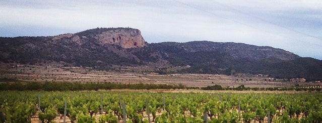 Rebolledo is one of Barrios de Alicante.