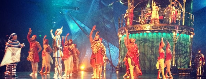 Cirque du Soleil PortAventura is one of Carlos D. : понравившиеся места.