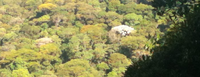 Floresta da Tijuca is one of Brasil, VOL I.