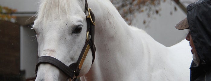 Gainesway Stallion Farm is one of Horse Capital of the World.