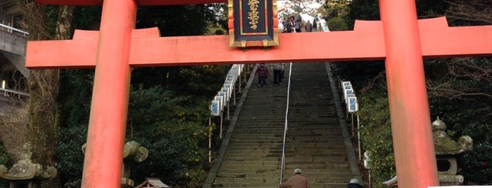 Kora Taisha Shrine is one of 八百万の神々 / Gods live everywhere in Japan.