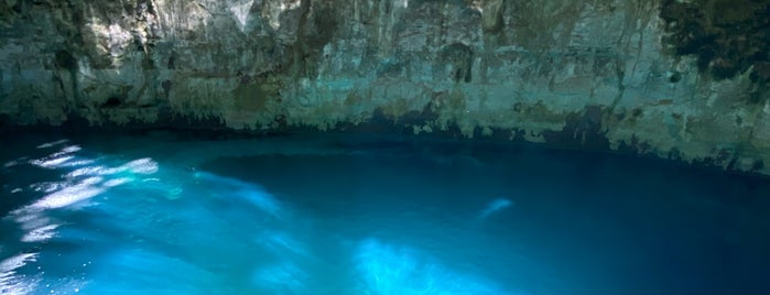Cenote Agua Azul is one of Orte, die Remco gefallen.