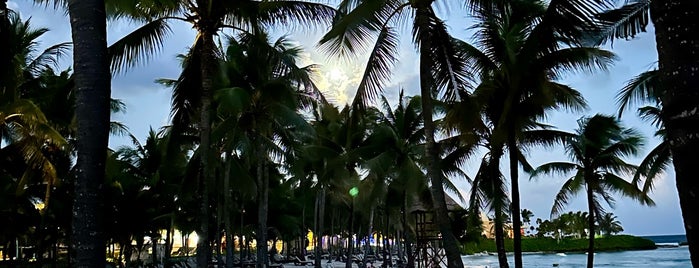 Barceló Maya Palace Deluxe is one of Barceló Hotels.