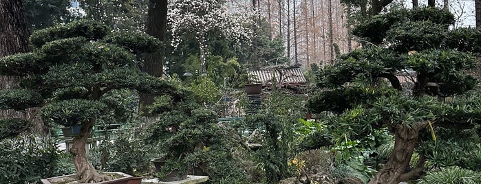 Renmin Park is one of Chengdu.